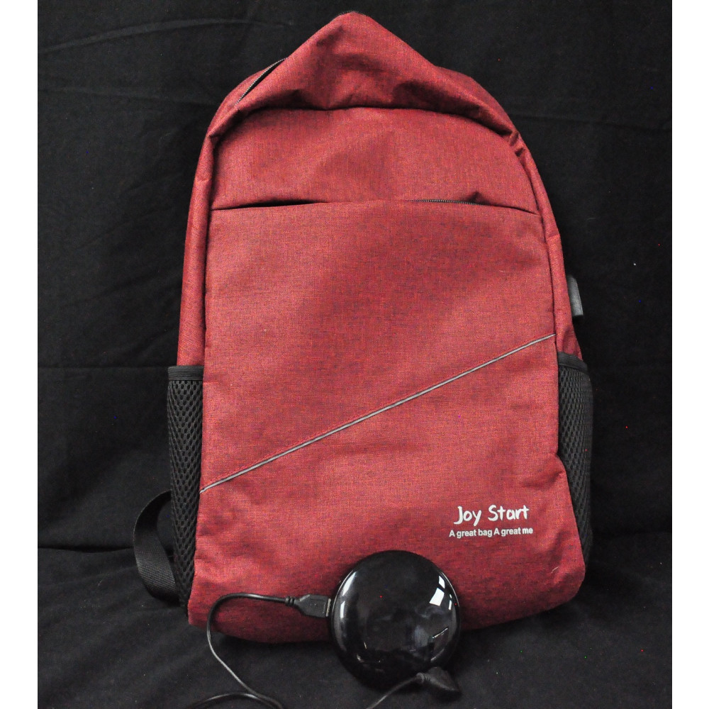 USB CHARGING BACKPACK AND LAPTOP CARRIER
