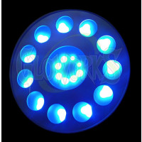 Serving Tray with 12 Circular LED Shot Spots (1 PIECE)