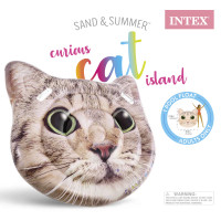 CURIOUS CAT ISLAND