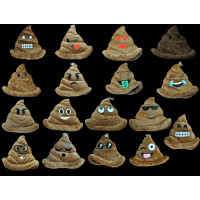 NON-FLASHING ASSORTED STYLE POOP EMOJI HAT (1 PIECE) 