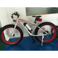 SELF PROPELLED BIKE WITH WIDE TIRES (1 BIKE)