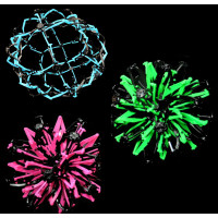 NON-FLASHING ASSORTED COLOR EXPANDABLE BALL (1 PIECE)