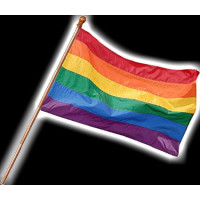 11" X 17" RAINBOW FLAG WITH WOODEN STICK ( 1 PIECE)